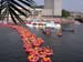 Haake-Beck-Badeinsel-Rennen-02-08-2003-022