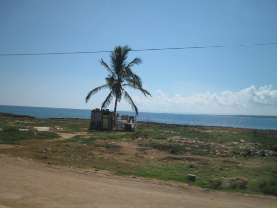0055a-IMG_1488-Giba#1D0EDAF